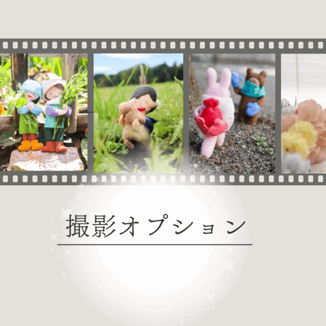 撮影オプション