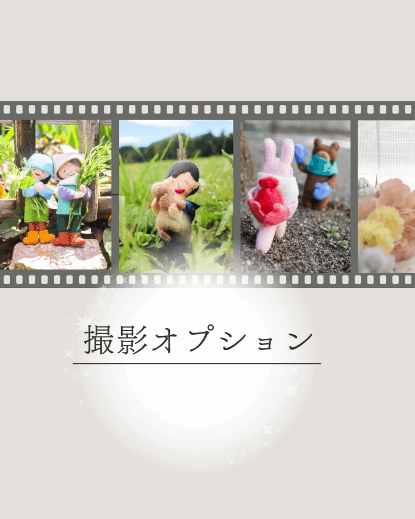 撮影オプション